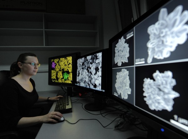 Photo gallery - category: Research - Katarzyna Winkler, a PhD student from the IPC PAS reviews electron microscope images showing substrates fabricated with gold microflowers.