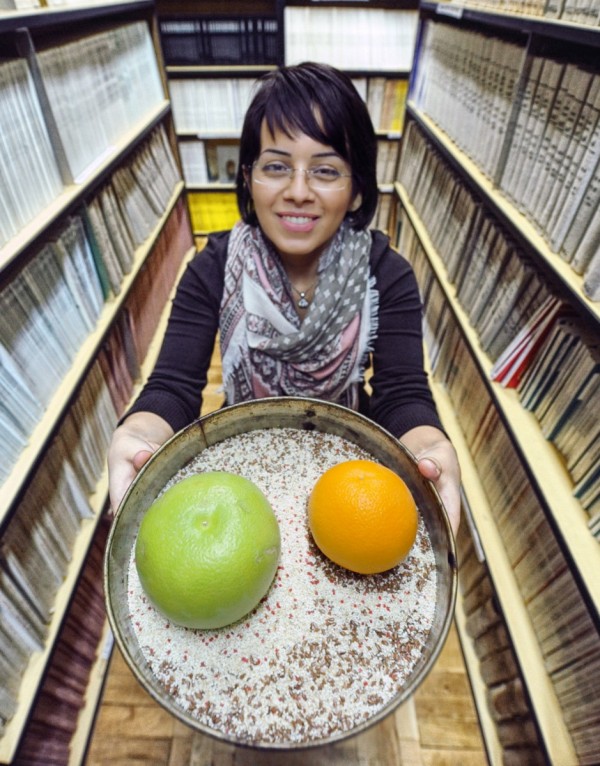 Photo gallery - category: Research - Faezeh Pousaneh, a PhD student with a "kitchen-like" version of the mixture under study. The fruits symbolize colloid particles, white grains - water, dark - lutidine, red - water-preferring ions.